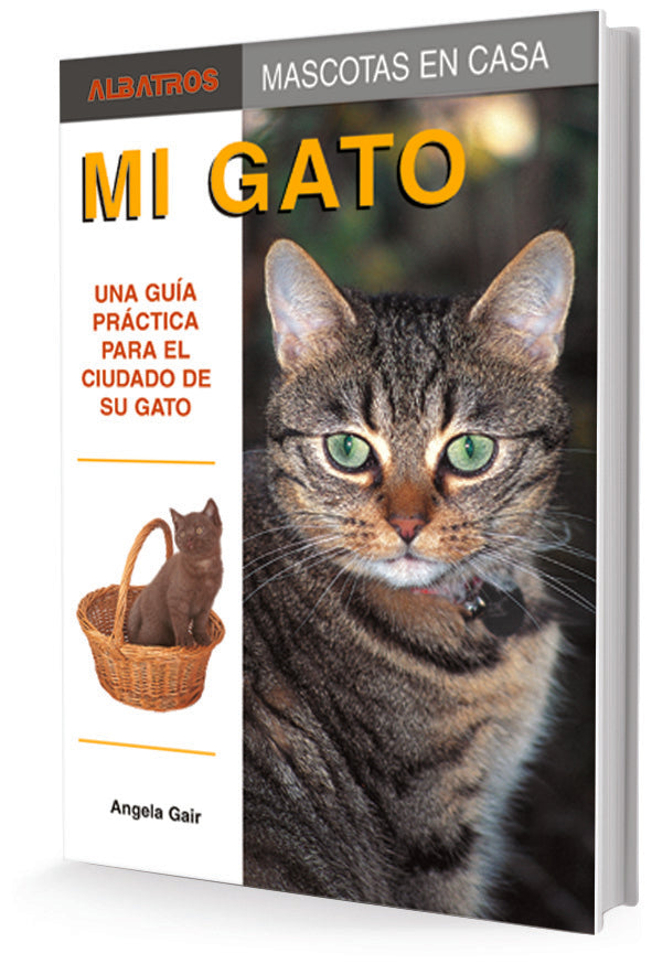 MI GATO | LORDA GAIR
