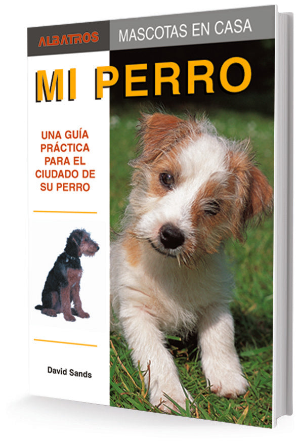 MI PERRO | LORDA SANDS