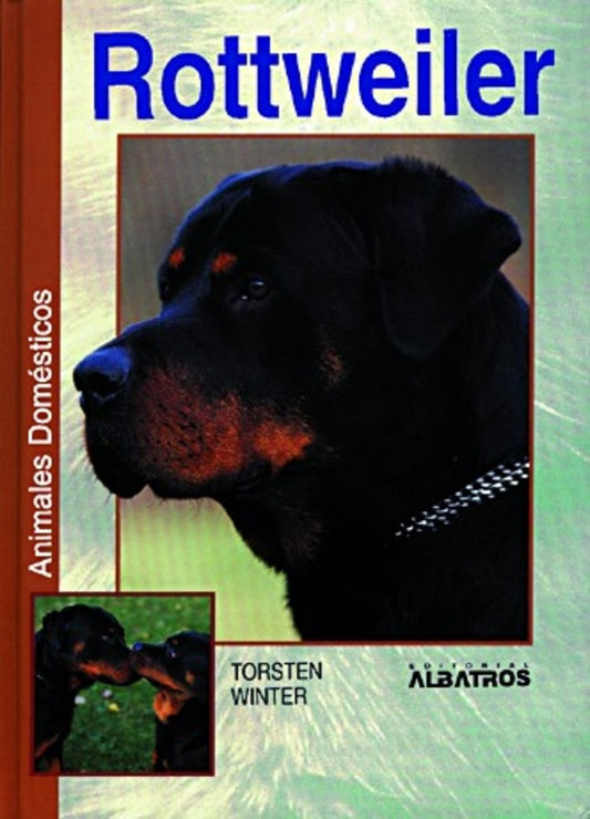 ROTTWEILER | Winter Torsten
