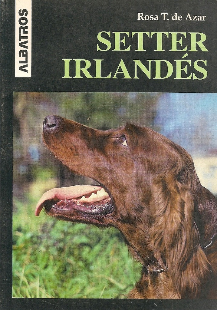 SETTER IRLANDES | ROSA T. DE AZAR