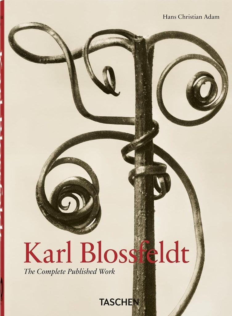 KARL BLOSSFELDT | HANS CHRISTIAN ADAM