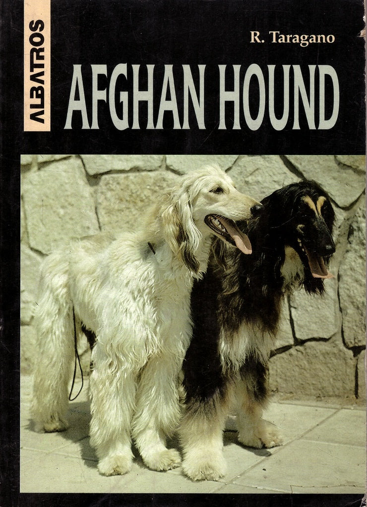 AFGHAN HOUND | ROSA T. DE AZAR