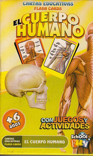 Cartas infantiles. El cuerpo humano | School Fun