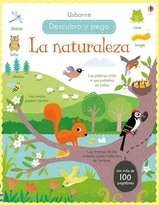 La naturaleza: Descubro y pego | FELICITY BROOKS