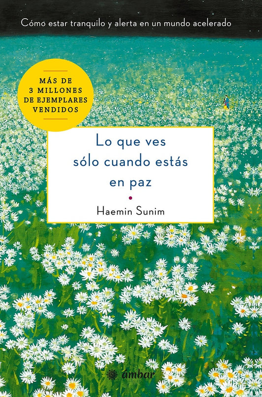 Lo que ves sólo cuando estás en paz | Haemin Sunim