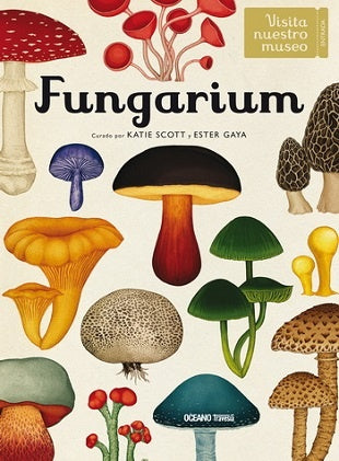 Fungarium | Ester Gaya