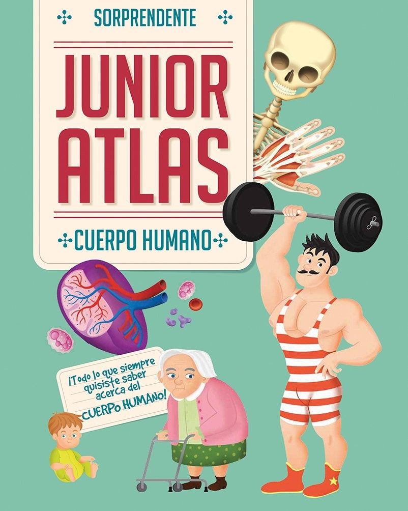 Sorprendente Junior Atlas: Cuerpo Humano | Varios autores