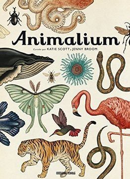 Animalium | Katie Scott - Jenny Broom