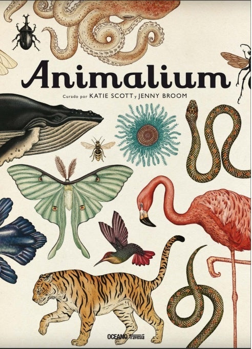 Animalium | Katie Scott - Jenny Broom