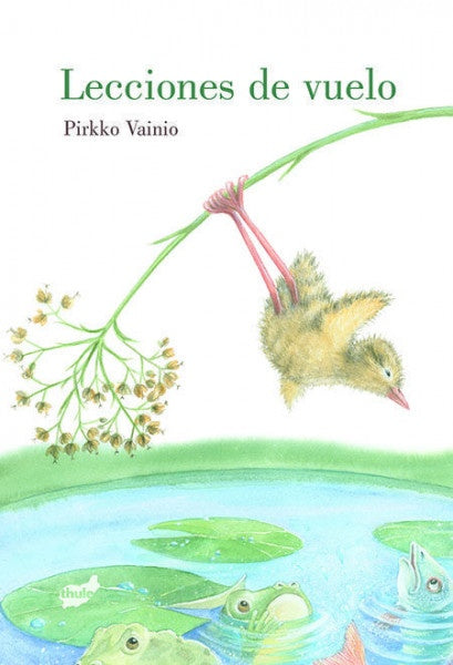 Lecciones de vuelo | Pirkko Vainio