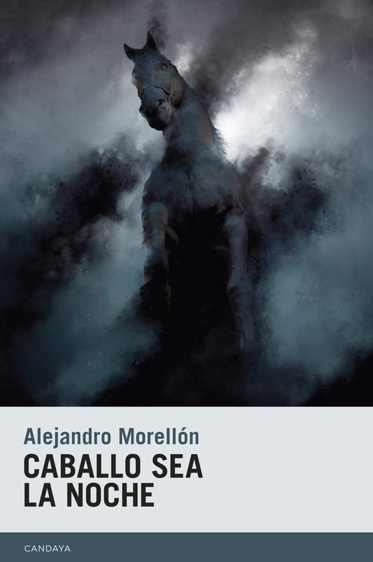 Caballo sea la noche  | ALEJANDRO MORELLON MARIANO