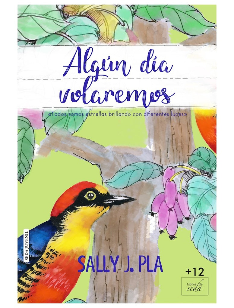 Algún día volaremos | SALLY J PLA