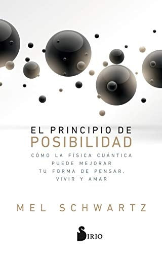 El principio de posibilidad | MEL SCHWARTZ