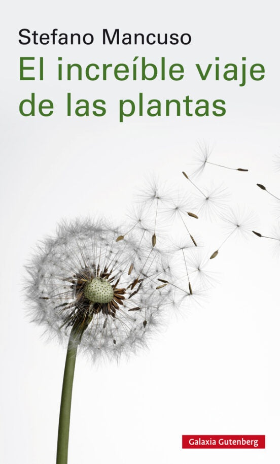 El increíble viaje de las plantas | Stefano Mancuso