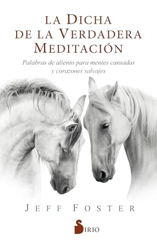 La dicha de la verdadera meditación | JEFF FOSTER