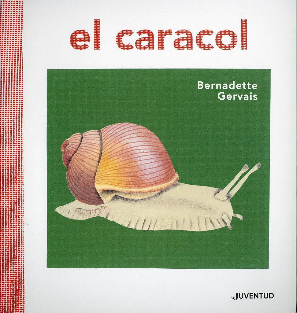 El caracol | Bernardette Gervais