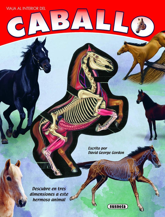 Viaja al interior del caballo | DAVID GEORGE GORDON