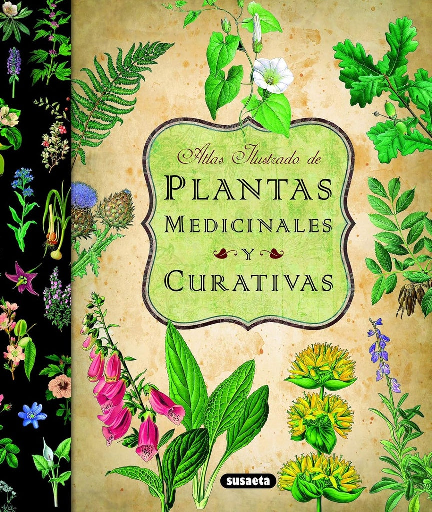 Plantas medicinales y curativas | Varios autores