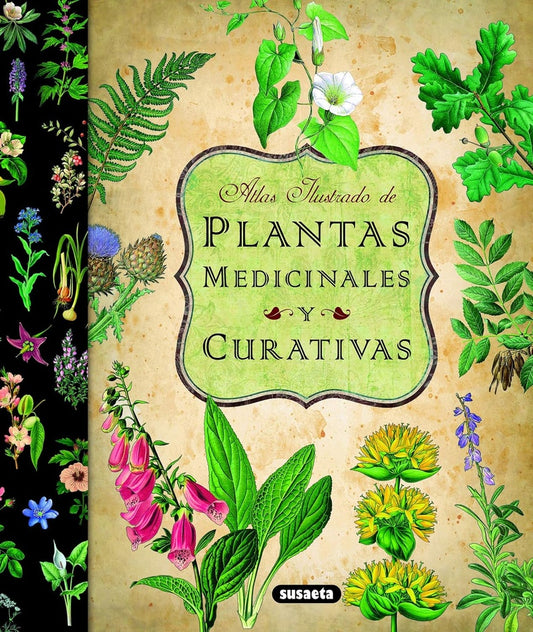 Plantas medicinales y curativas | Varios autores