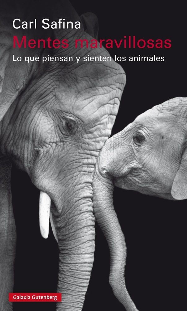 Mentes maravillosas | Carl Safina