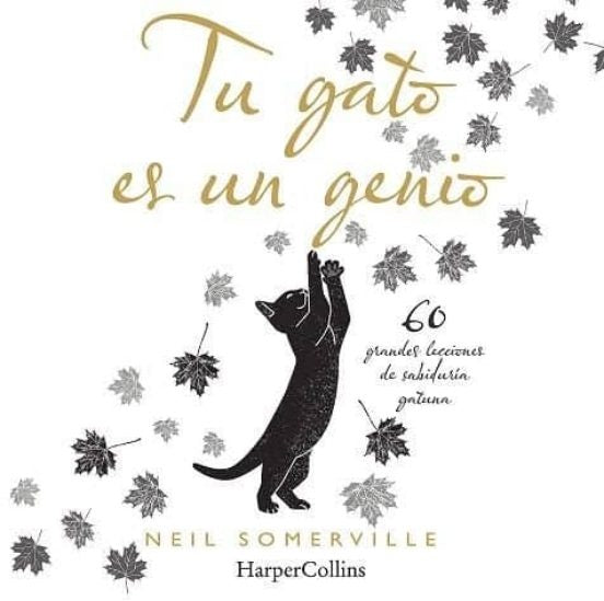 Tu gato es un genio | NEIL SOMERVILLE