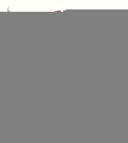 Felicidad. Manual de usuario | EVA ELAND