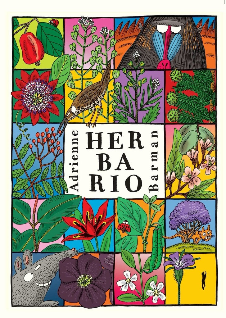 Herbario | ADRIENNE BARMAN