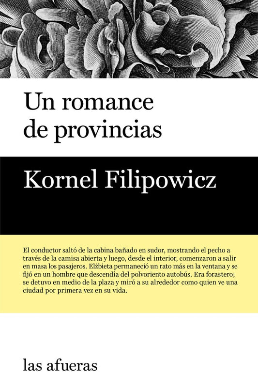Un romance de provincias | KORNEL FILIPOWICZ