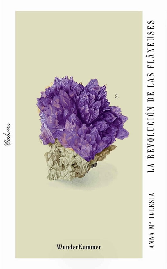 La revolución de las flâneuses | Anna Ma Iglesia