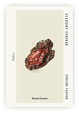 Heridas abiertas | Begoña Méndez