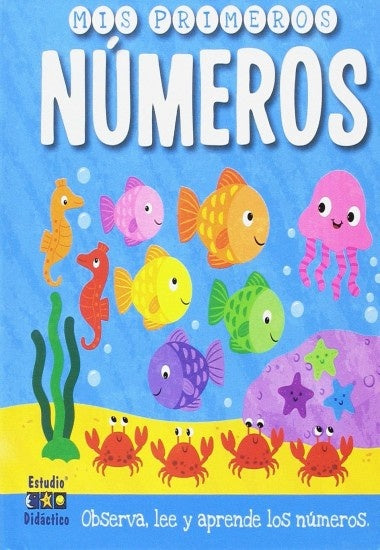 Mis primeros números | Estudio Didáctico