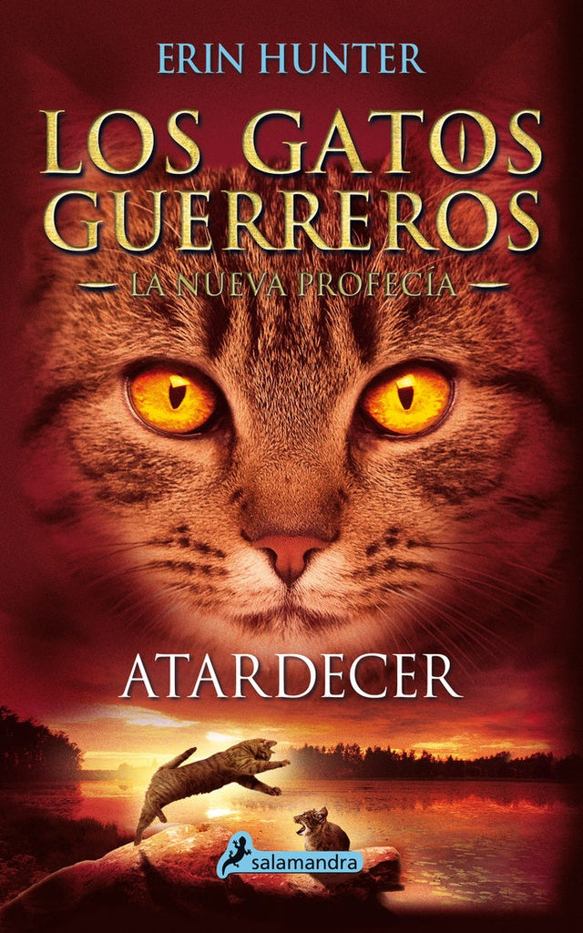 ATARDECER. GATOS GUERREROS 6 | HUNTER