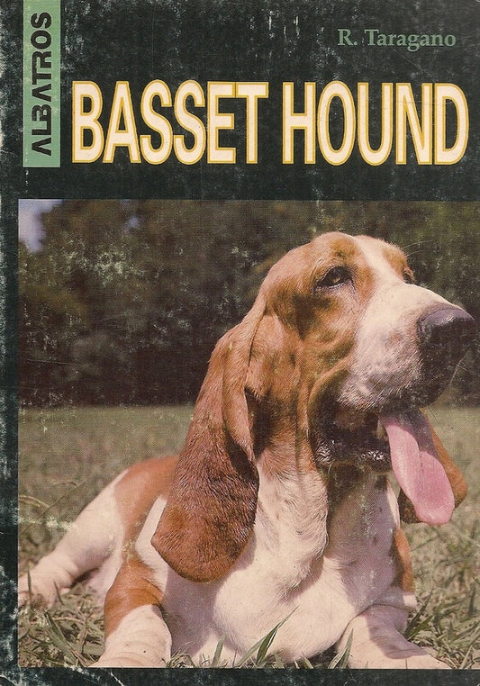 BASSET HOUND | R. TARAGANO