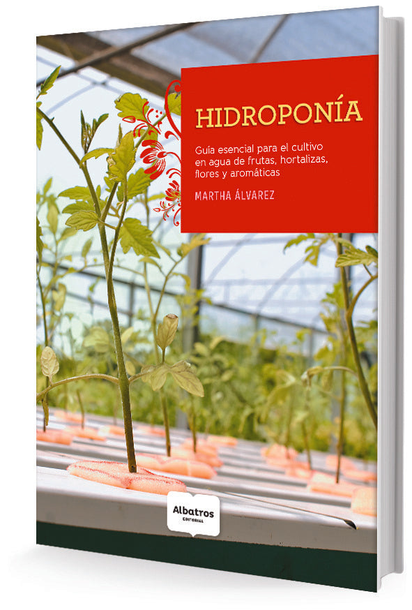 Hidroponía | MARTHA ALVAREZ