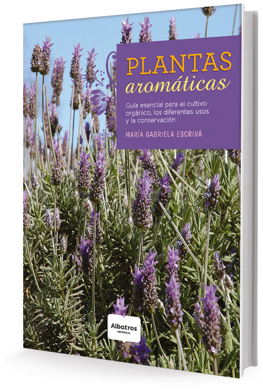Plantas Aromáticas | MARIA GABRIELA ESCRIVA