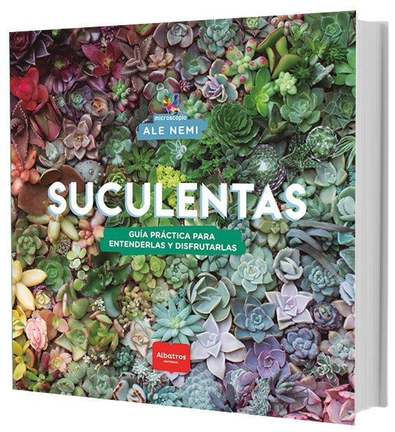 Suculentas | ALE NEMI