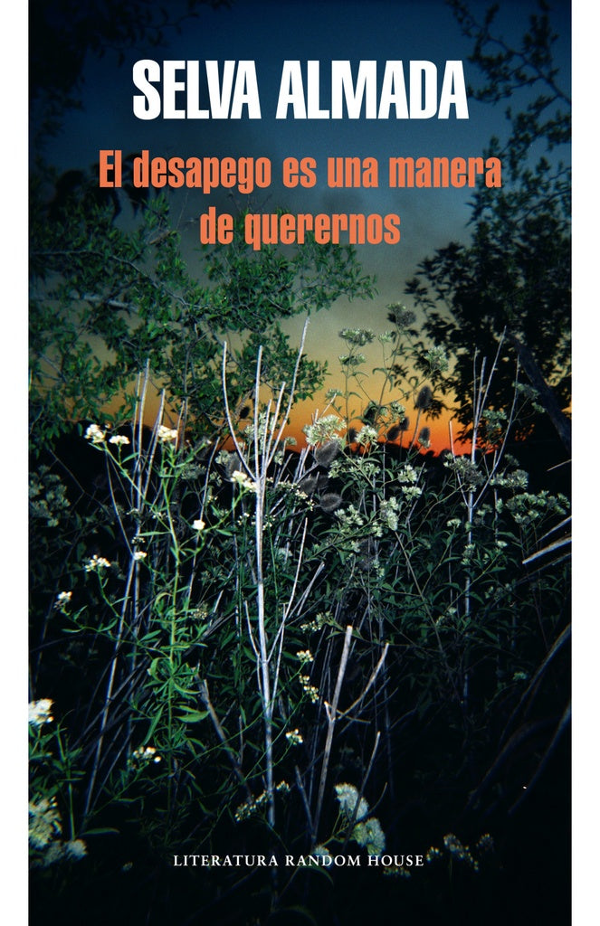 El desapego es una manera de querernos | SELVA ALAMADA