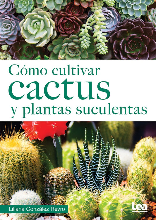 Cómo cultivar cactus y plantas suculentas | LILIANA GONZALEZ REVRO