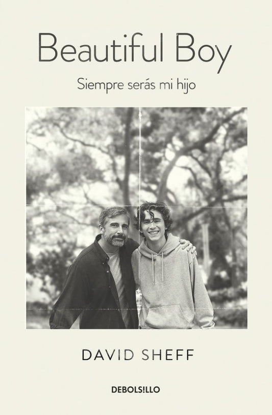 Beatiful Boy. Siempre serás mi hijo | DAVID SHEFF