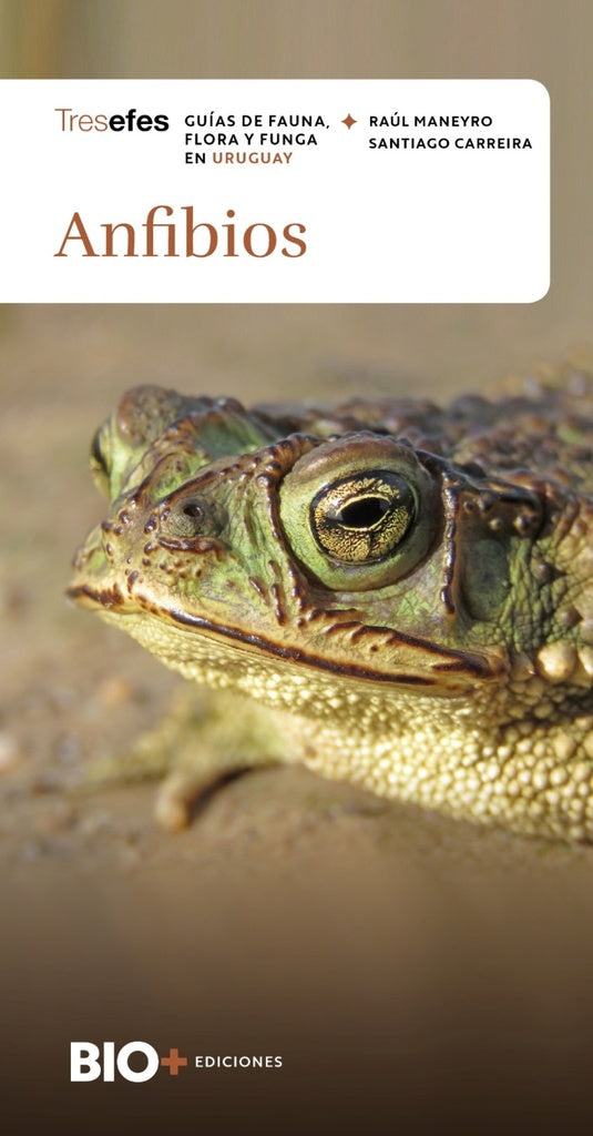 Anfibios (Colección Tresefes) | RAUL MANEYRO - SANTIAGO CARREIRA