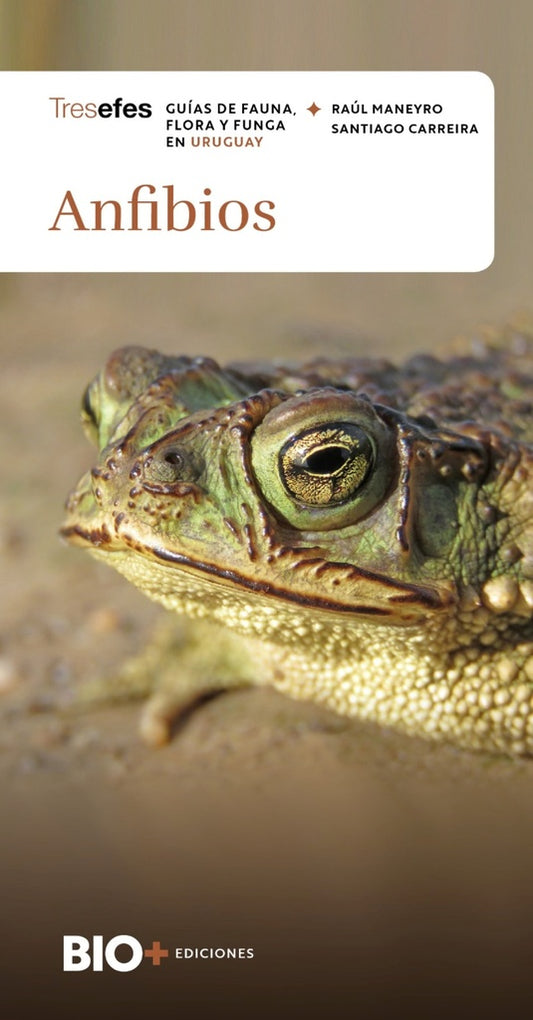 Anfibios (Colección Tresefes) | RAUL MANEYRO - SANTIAGO CARREIRA