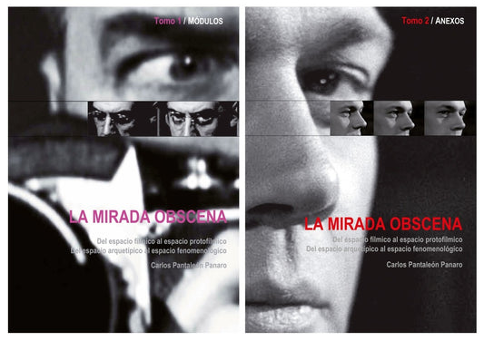 La mirada obscena: del espacio fílmico al espacio protofílmico (2 tomos) | CARLOS PANTALEON PANARO