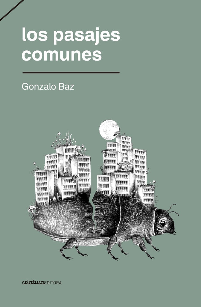 Los pasajes comunes | Gonzalo Baz