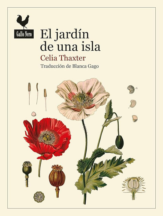 El jardín de una isla | CELIA THAXTER