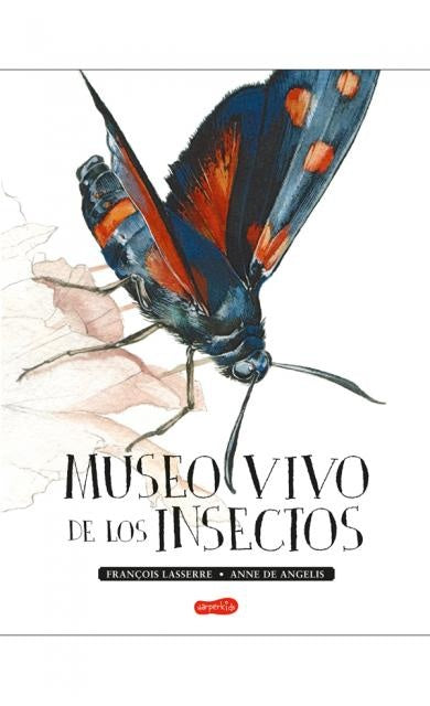 Museo vivo de los insectos | François Lasserre