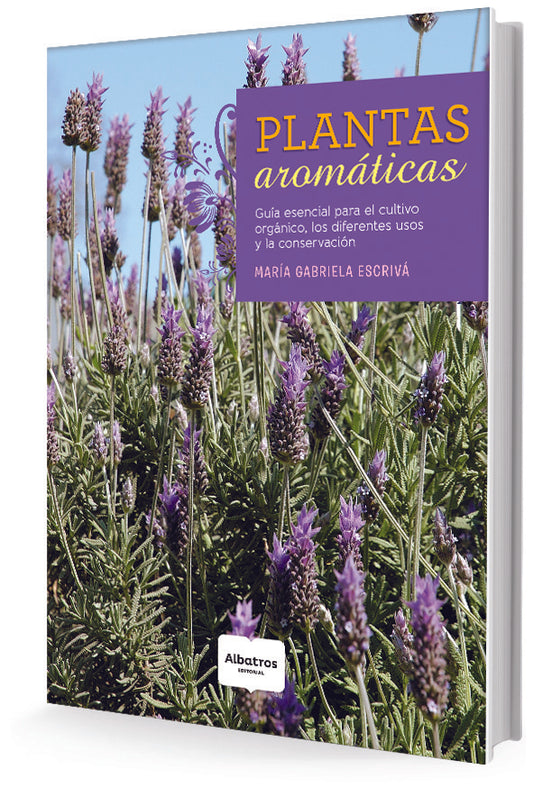 Plantas Aromáticas | MARIA GABRIELA ESCRIVA