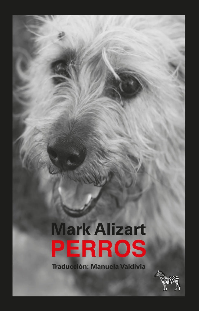 PERROS | SIN ASIGNAR