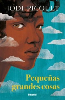 Pequeñas grandes cosas | JODI PICOULT