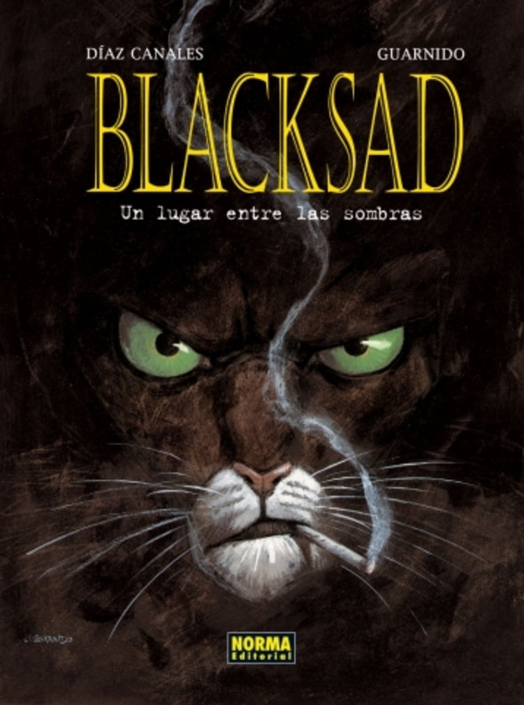 BLACKSAID. UN LUGAR ENTRE LAS SOMBRAS | DIAZ CANALES -  GUARNIDO