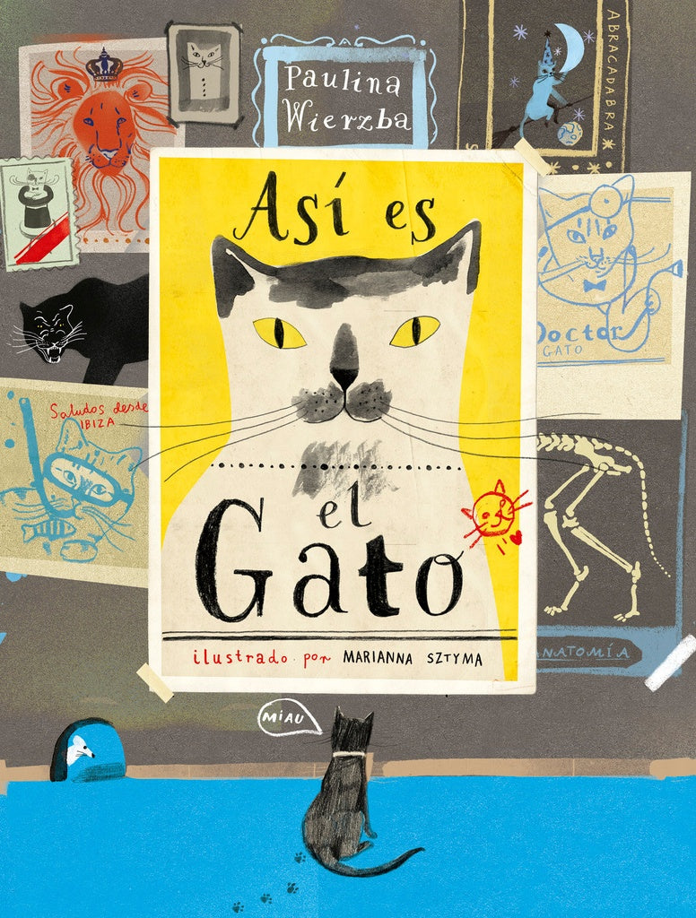 Así es el gato | Paulina Wierzba